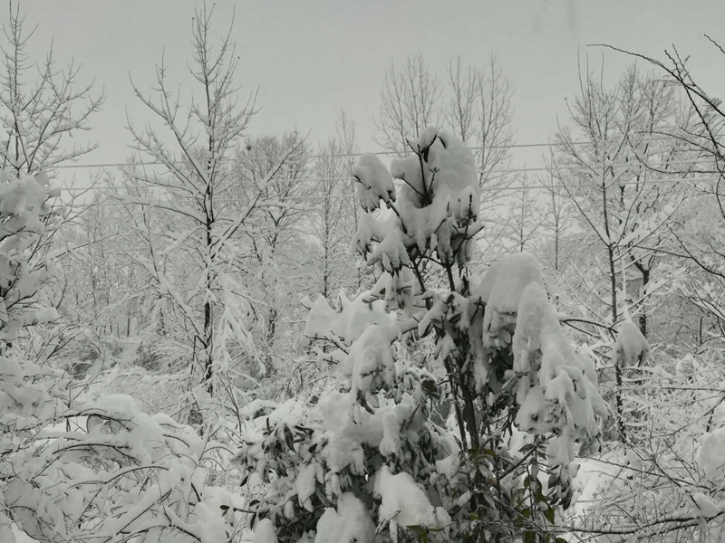 【永信贵宾会风尚】传递正能量，向风雪里辛勤工作的最美永信贵宾会人致敬！